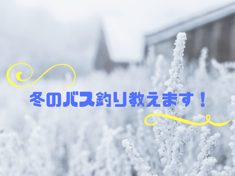 冬のバス釣りを楽しむために知っておくべき事 最期に笑うんだ